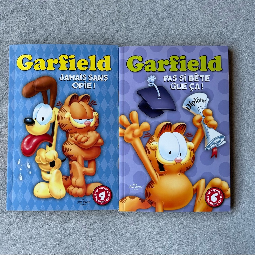 FRENCH ~ Set of 2 ~ Garfield ~ BD Thematique 4 & 6